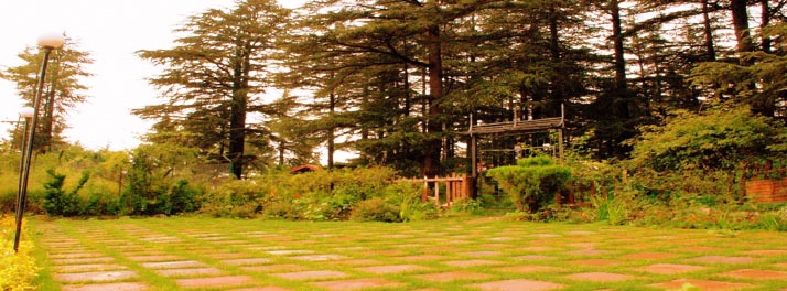 1569/Hotel Woodpark - Shimla 07.jpg